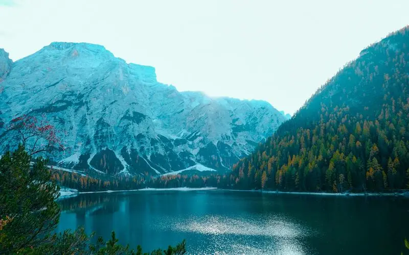 智能高端